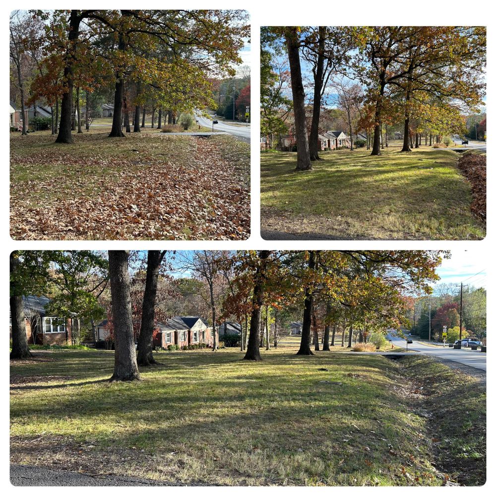 Our Leaf Clean Up service provides homeowners with a hassle-free solution to remove and dispose of fallen leaves from their property, ensuring a neat and tidy landscape. for Bellevue Lawn and Landscaping in Bellevue,  TN