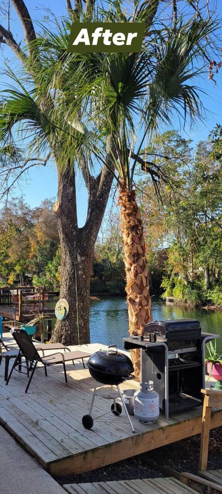 All Photos for Tezna Landscaping, Trees & Pavers in Valrico, FL