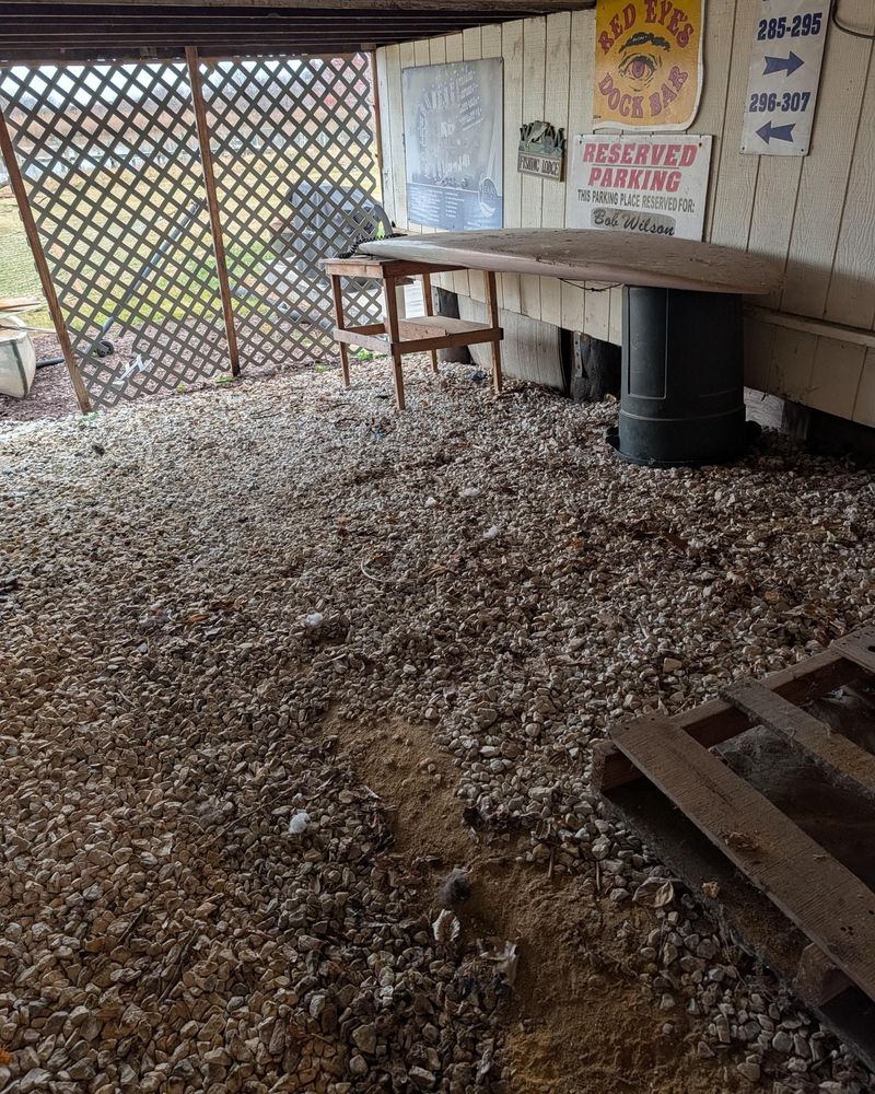 All Photos for Turtle's Haul-Away & Junk Removal in Stevensville, MD