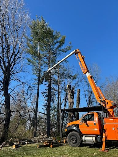 Tree Service for Transforming Landscaping & Tree Service in Bowling Green, KY