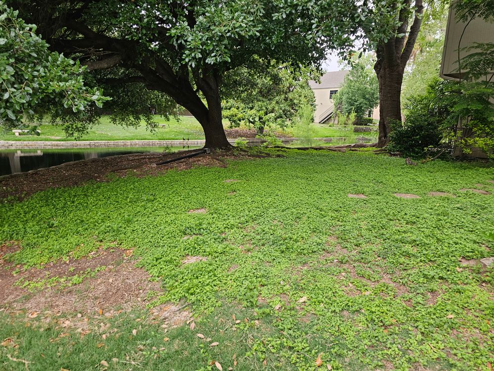 All Photos for Miller Mowing and Maintenance in San Antonio, TX
