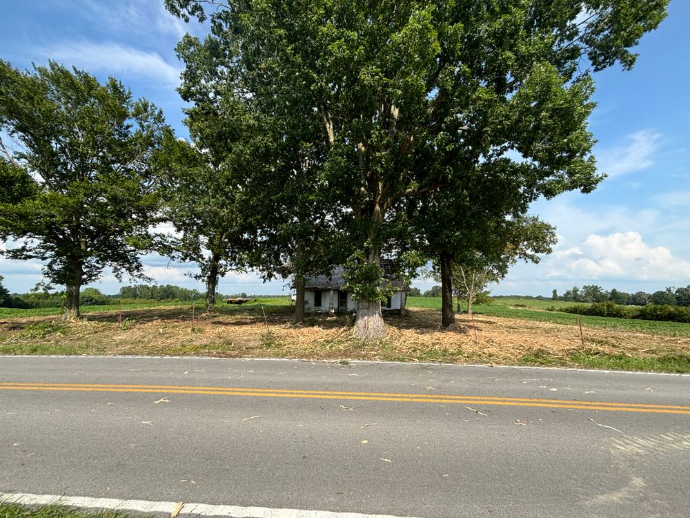 All Photos for Gregory Grass and Lawn in Lafayette, TN