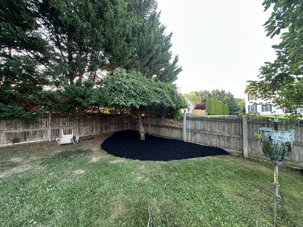 All Photos for A Better Lawn Service LLC in Bel Air, MD