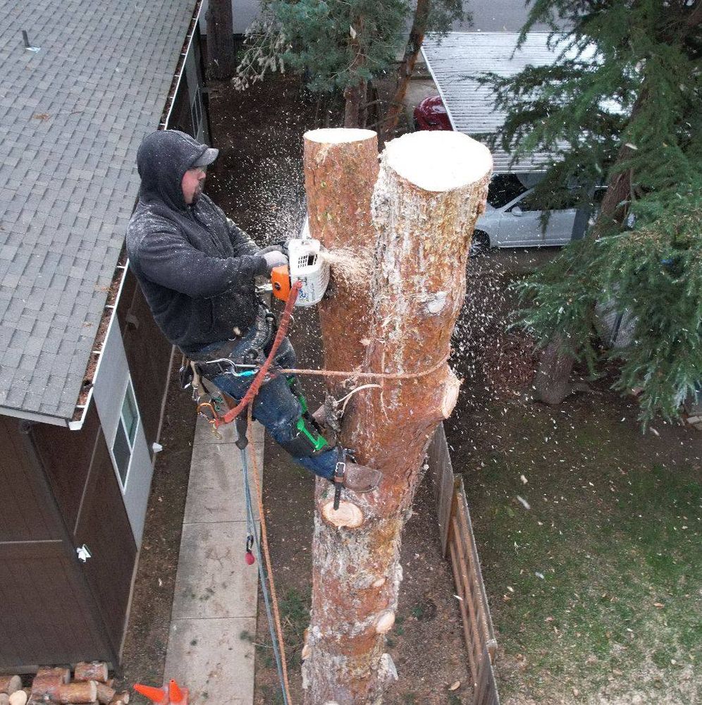 Clippys Tree Pros team in Stayton, OR - people or person