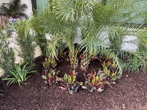 All Photos for Madissons Green in West Palm Beach ,   FL