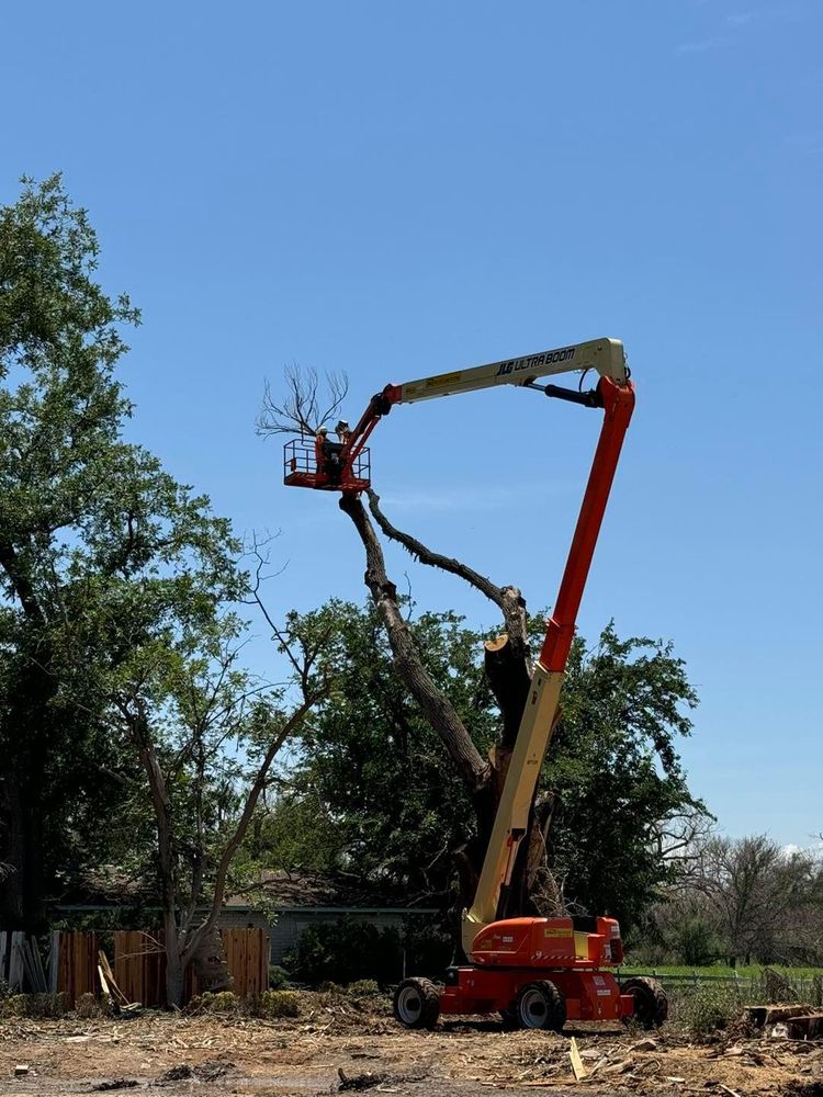 Stump Removal for By Faith Landscaping in Sierra Vista, AZ