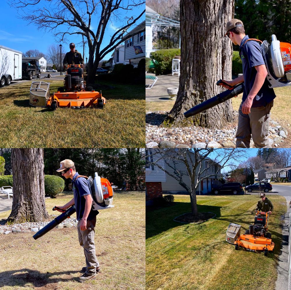 Fall Clean Up for Fryer Lawn & Landscape LLC in Southington, CT