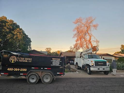 All Photos for T's Tree Service and Firewood in Apache Junction, AZ