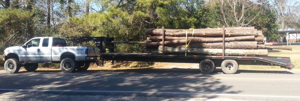 Tree Removal for David's Tree Service in Slidell, LA