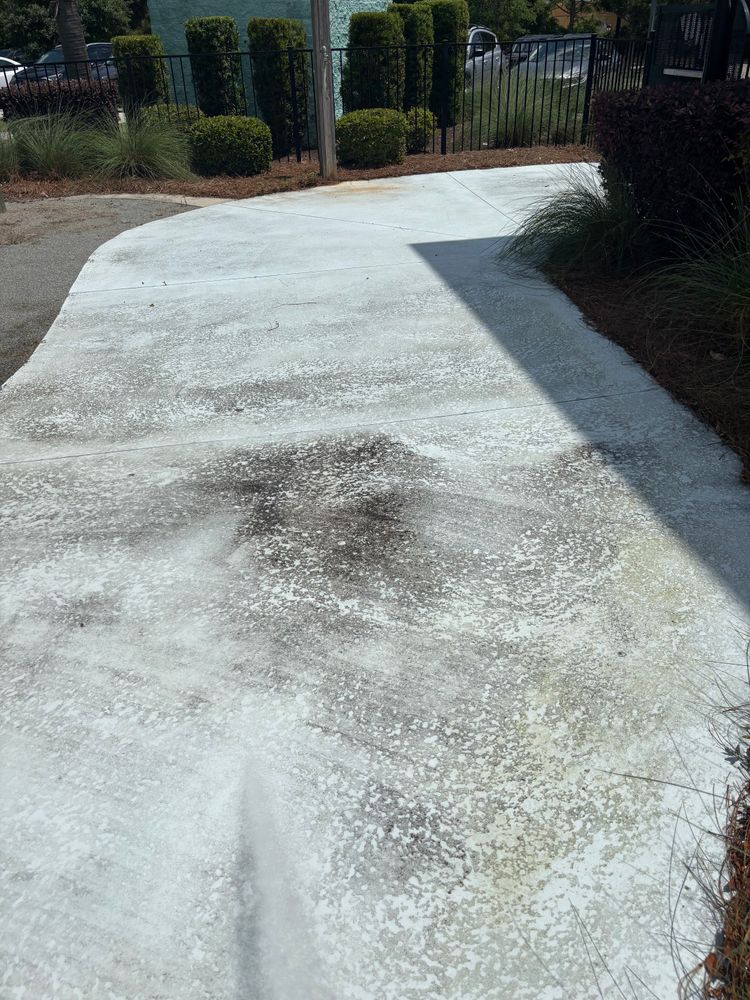 All Photos for Pool Services of Wilmington in Wilmington, NC