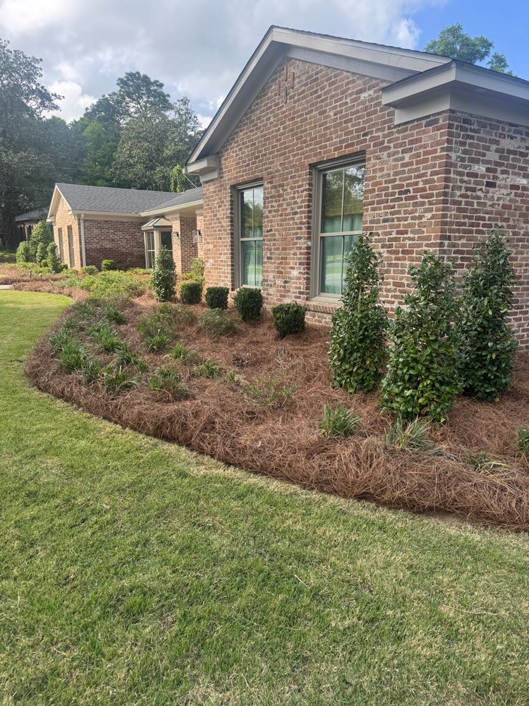 All Photos for Johnson Lawn Care and Maintenance in Mobile, AL