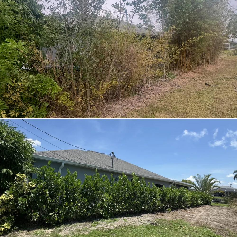 All Photos for BH Lawn & Landscape in LaBelle, FL