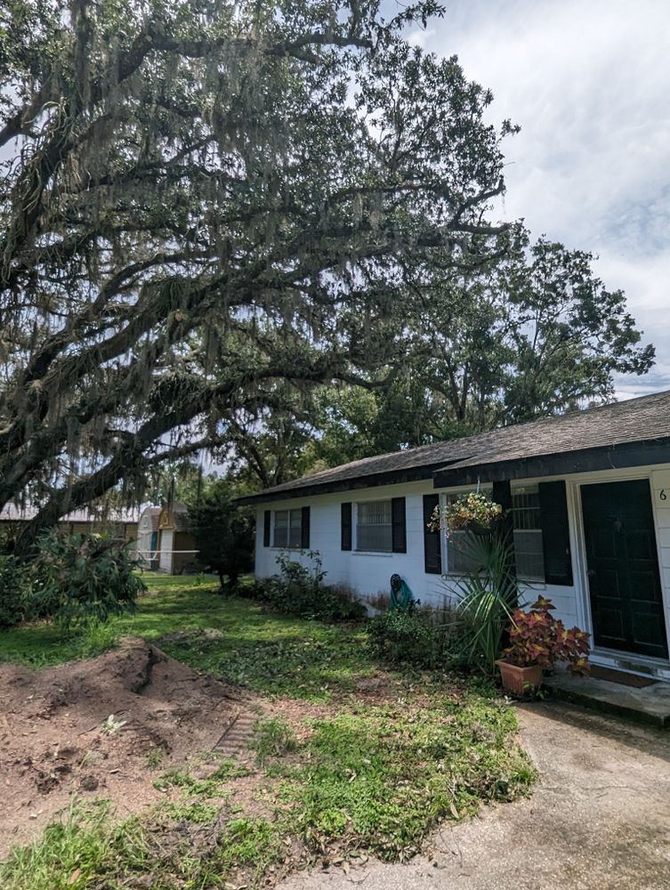All Photos for Regal Tree Service and Stump Grinding in Wauchula, FL