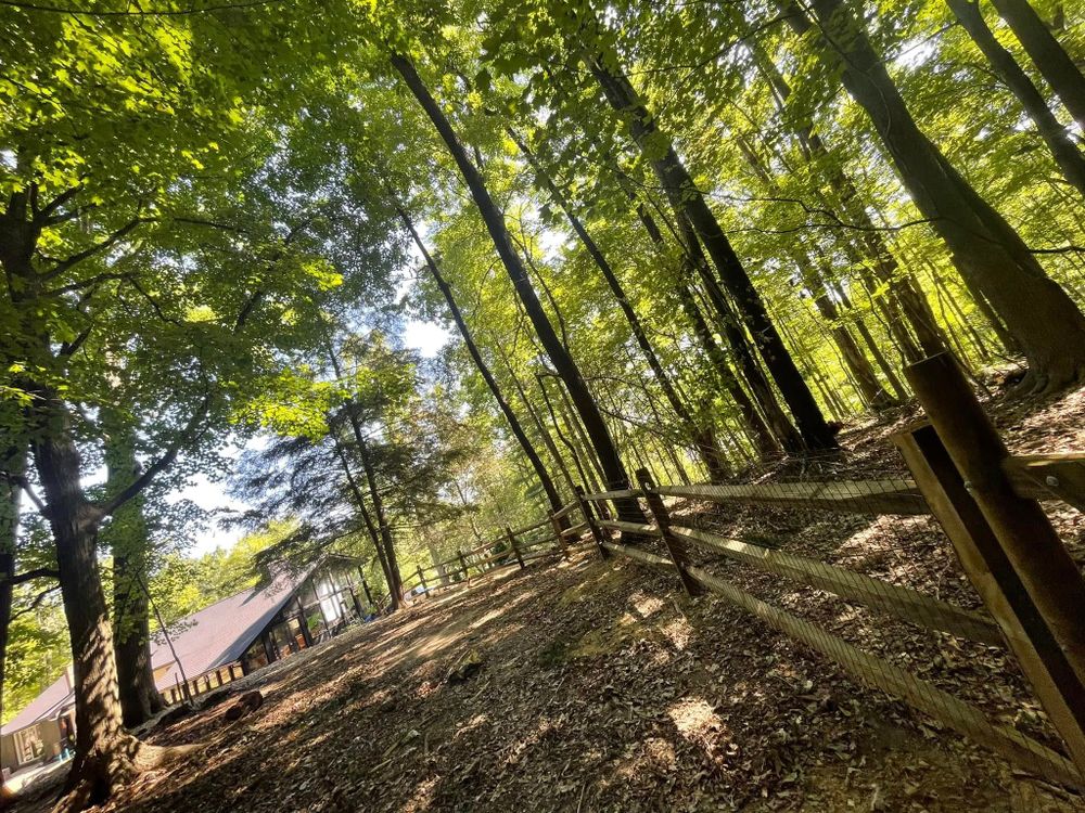 All Photos for Reynoso’s Fencing & Lawn Care in Painesville, OH