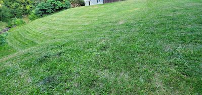 Lawn Care for My Lawn Solutions LLC in Milford, OH