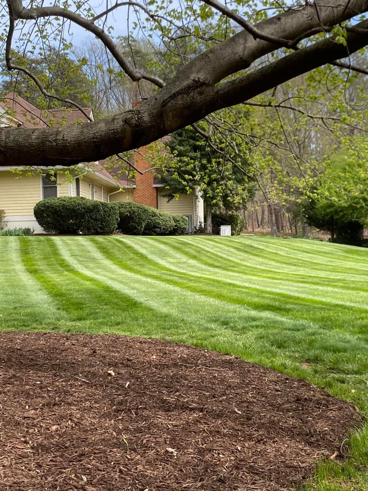 Our mowing service offers professional, reliable lawn care to ensure your yard always looks pristine. We provide regular maintenance tailored to your needs, enhancing the beauty and health of your landscape effortlessly. for Valencia’s Lawncare in Charlottesville, VA