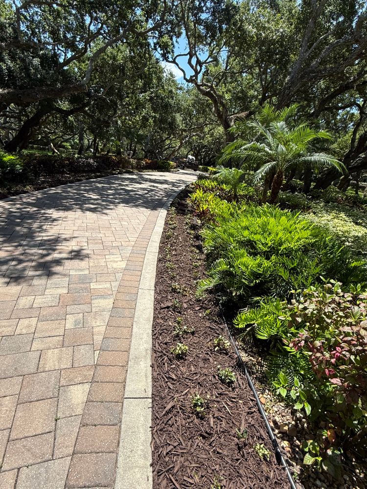 All Photos for Vanic's Landscaping in South Daytona, FL