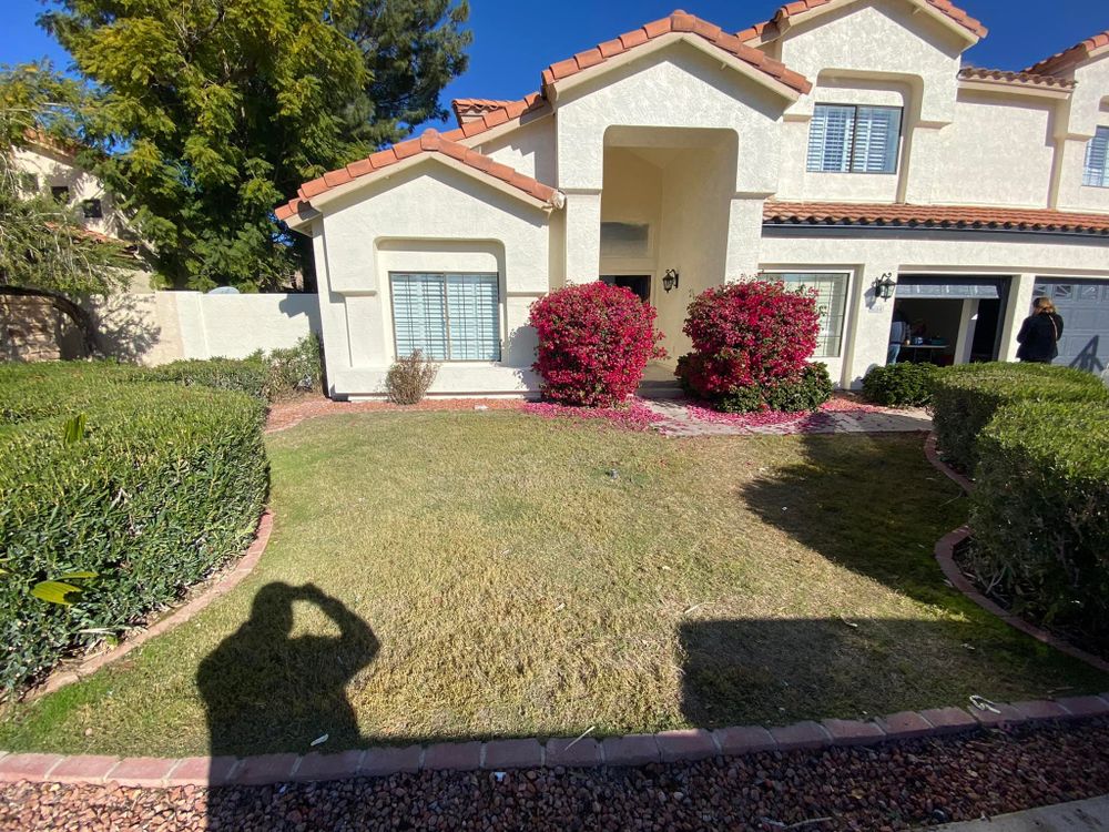 Landscaping for All Green Landscapes in Phoenix, AZ