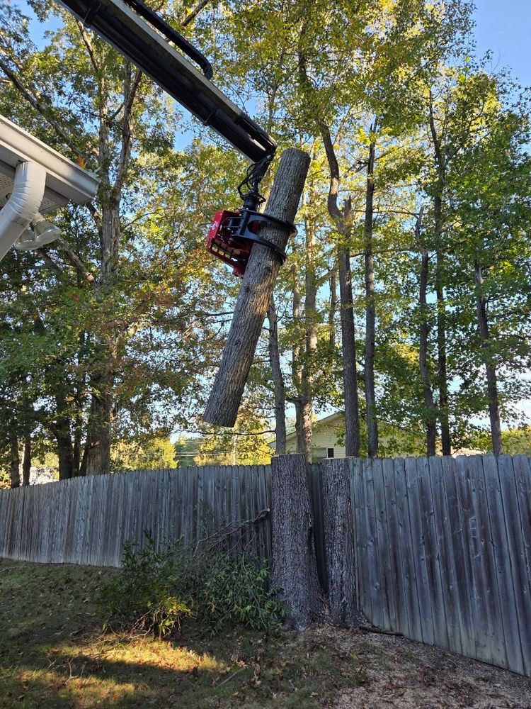 All Photos for Alexander's Tree Service  in Newburg,  MD