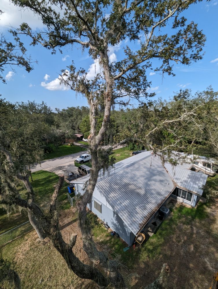 All Photos for Regal Tree Service and Stump Grinding in Wauchula, FL