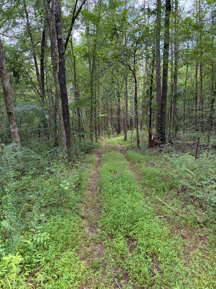 All Photos for Ross Excavation & Land Development in Middleton, TN