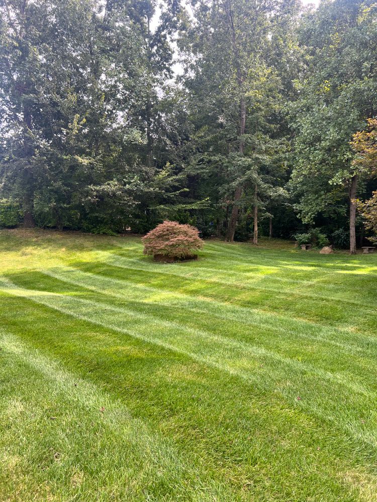 All Photos for Massey Landscaping in Gastonia, NC