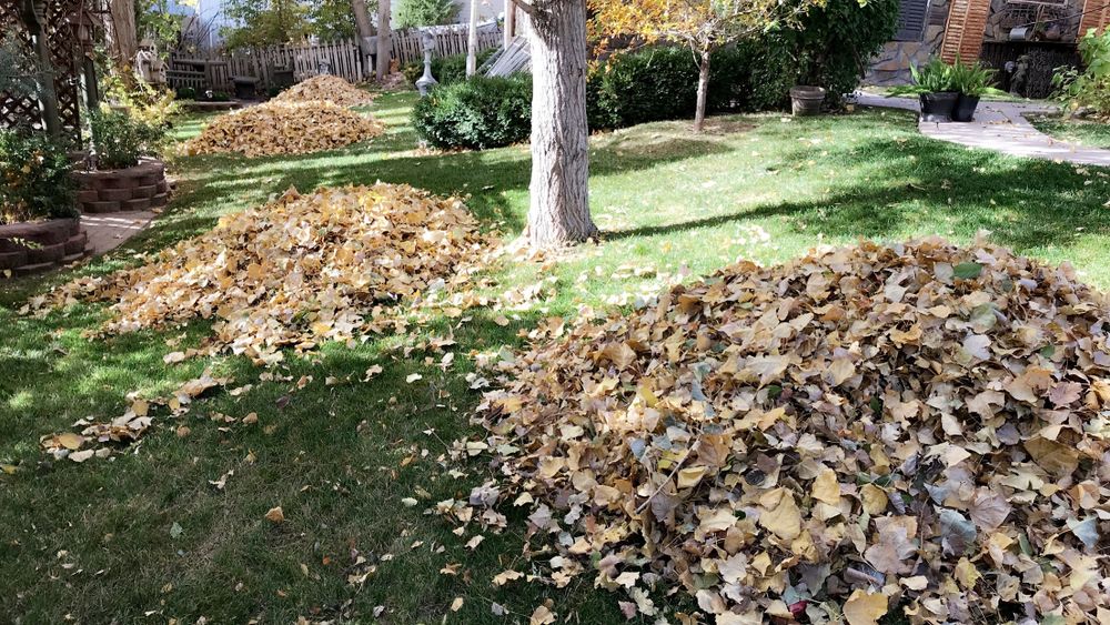 CLEANUPS for Rock Masters Inc. in Evans, CO