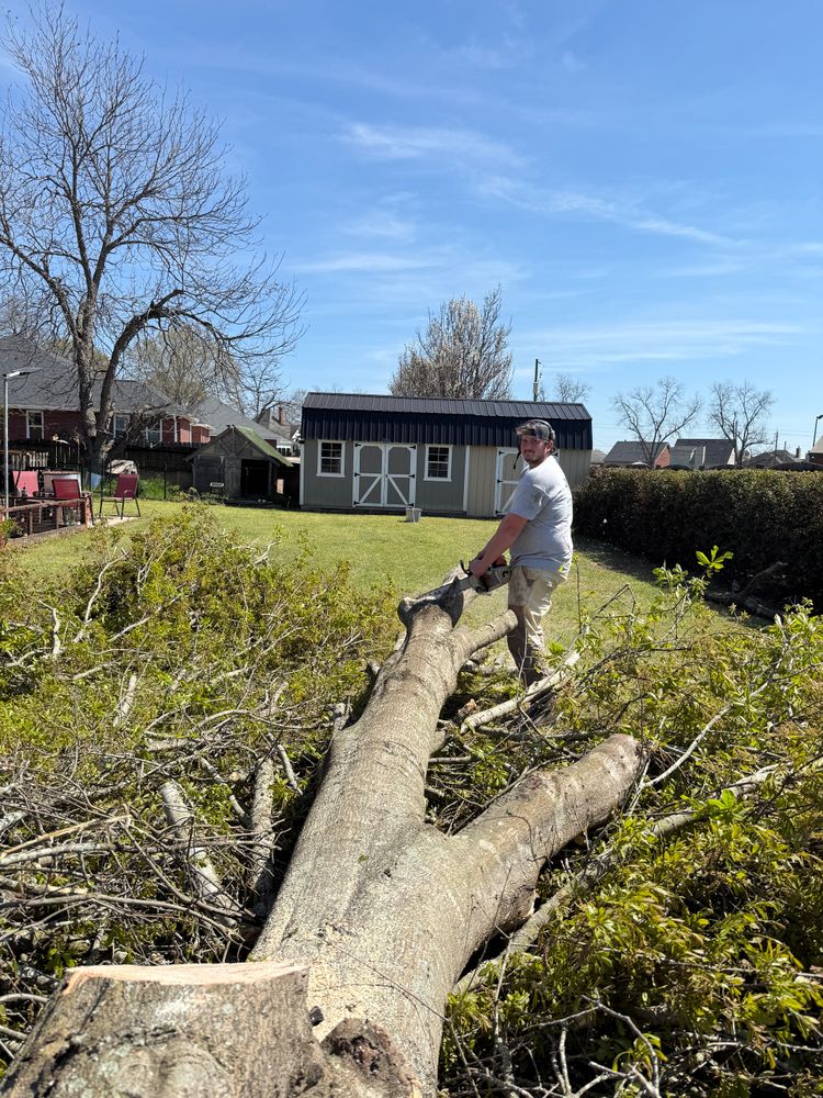 All Photos for T N L - Tree and Land Service in Reynolds, GA