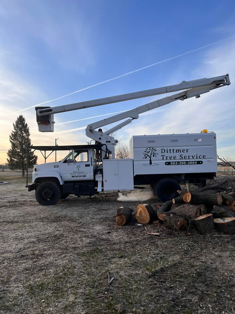 Enhance your landscape’s beauty and safety with our professional tree trimming service, promoting healthy growth while preventing hazards. Our expert team ensures precise cuts for optimal health and aesthetics of your trees. for Dittmer Tree Service in Davenport, IA