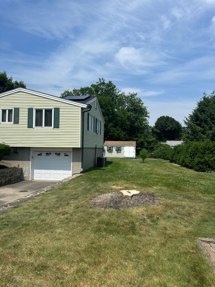 Tree Removal for Leaf and Limb in Townsend, MA