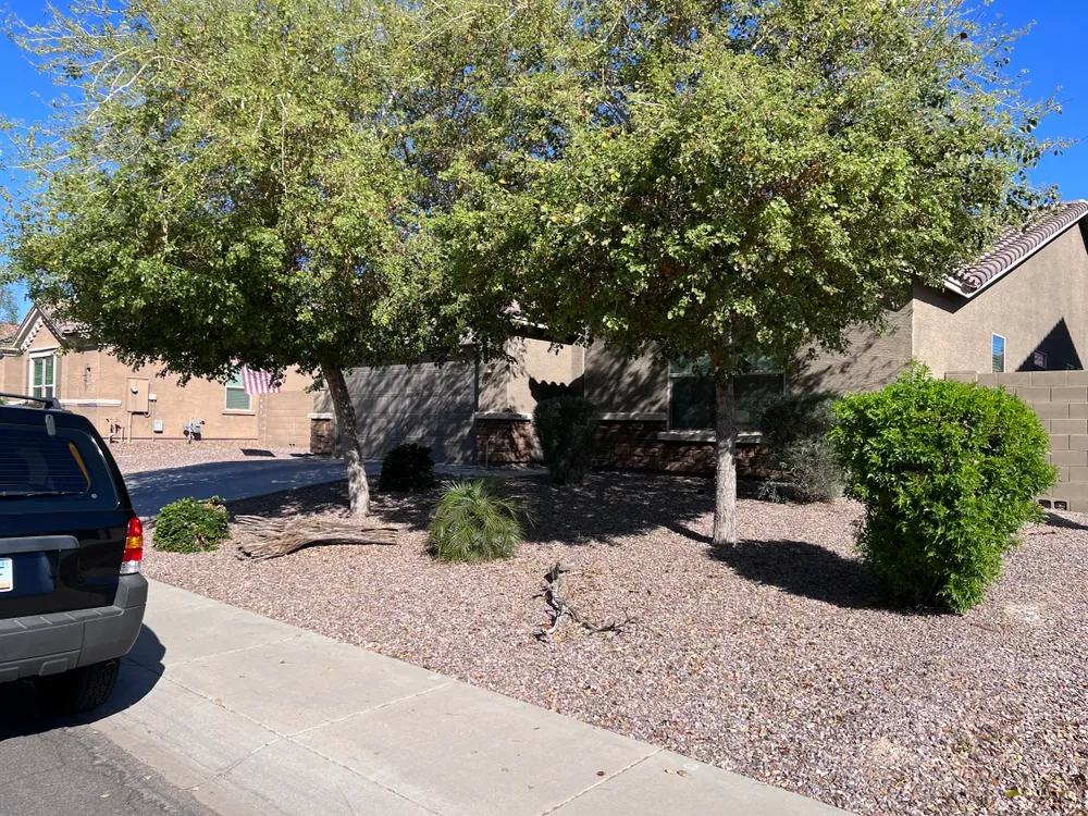 All Photos for Citiscapes, LLC in Phoenix, AZ