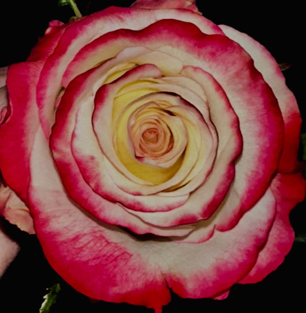 All Photos for The Dailey Daisy in Hardwick, VT