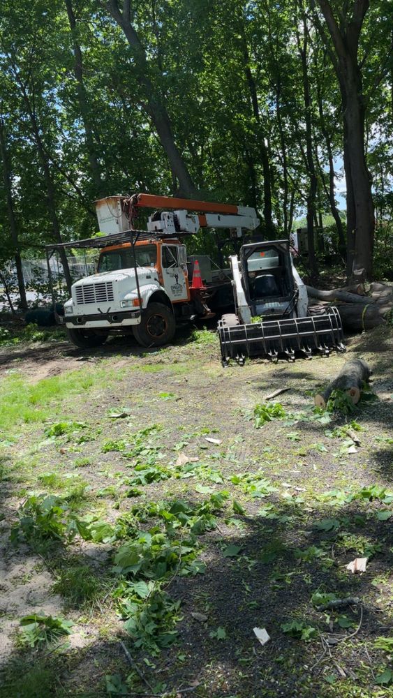 All Photos for Dwights Tree Service LLC in Middleborough, MA