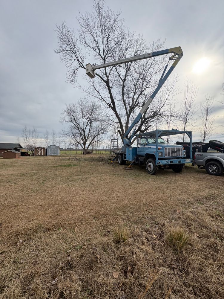 All Photos for T N L - Tree and Land Service in Reynolds, GA