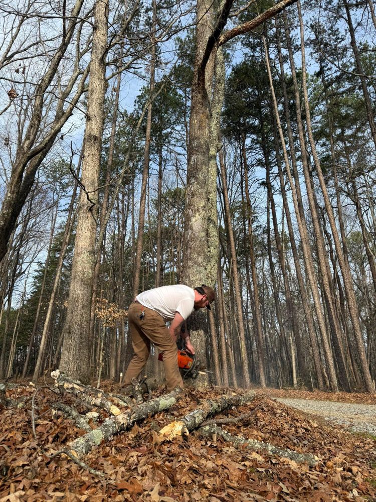 All Photos for Quartz Creek in Claremont, NC