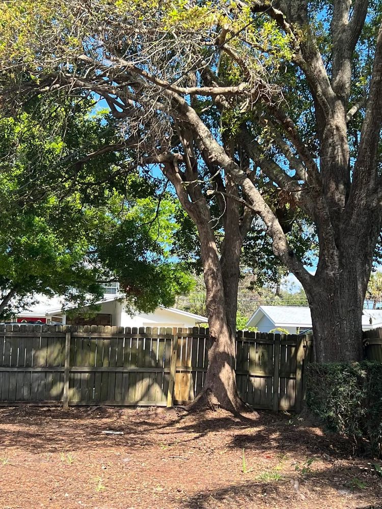 All Photos for Space Coast Property Maintenance and Management LLC in Melbourne, FL