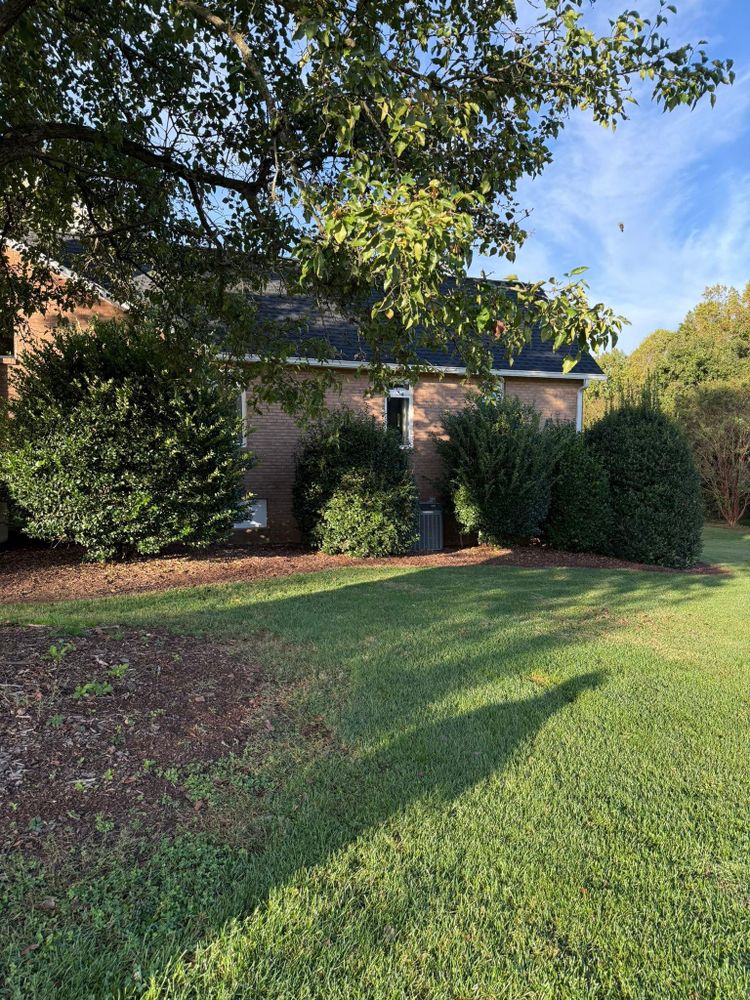 All Photos for Brooks Tree Service in Casar, NC