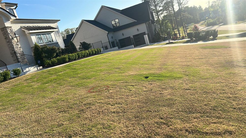 All Photos for Jem Landscaping in Wendell, NC