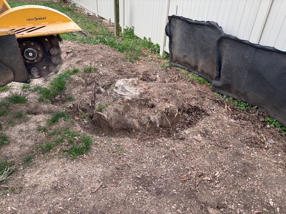 All Photos for Conrad's Stump Removal in Columbus, IN