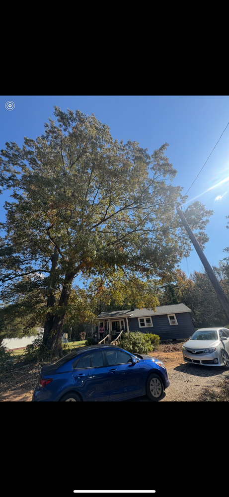 All Photos for Thin Green Line Landscaping & More in Laurens, SC