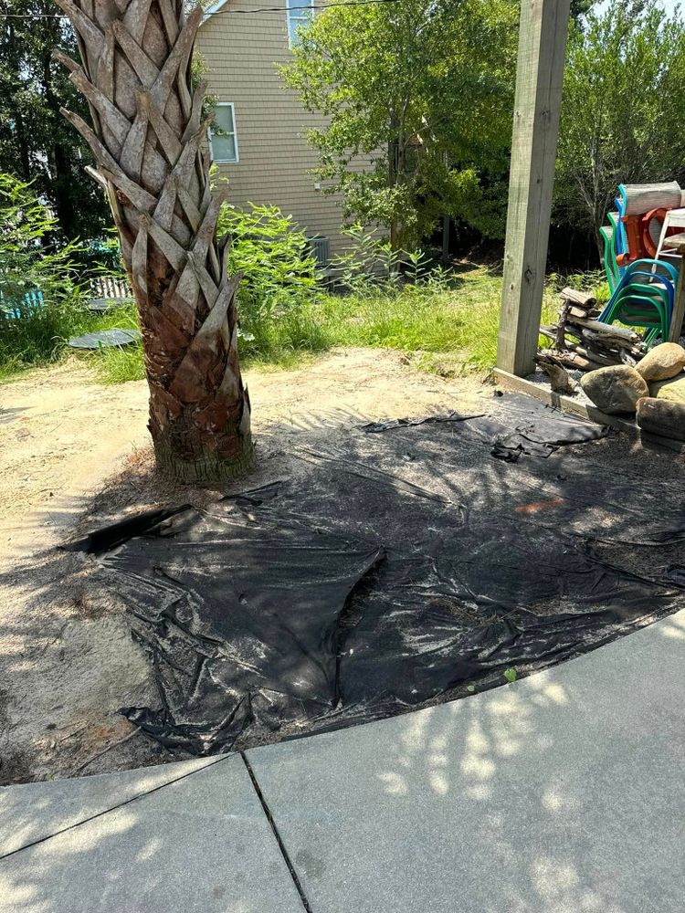 All Photos for TaylorBuilt Marine Construction in Newport, NC