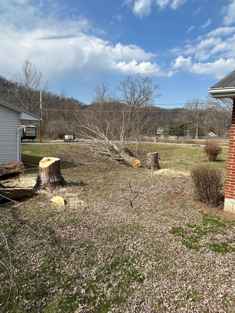 All Photos for NRV Tree Pro, LLC in Narrows, VA