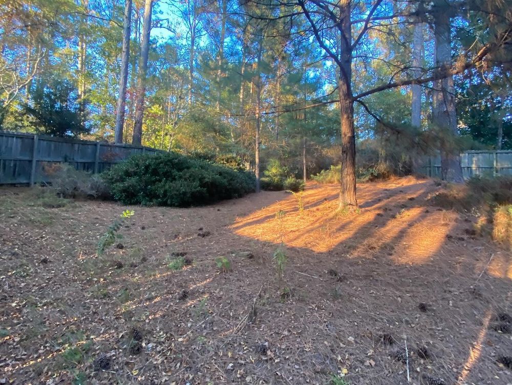 All Photos for JFS Outdoor Services in Aiken, SC