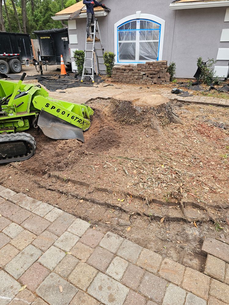 All Photos for Stumps done right LLC in Middleburg, FL