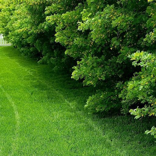 All Photos for Eagle Bay is Proud to Transition to Augusta Lawn Care of Helena in Helena, MT