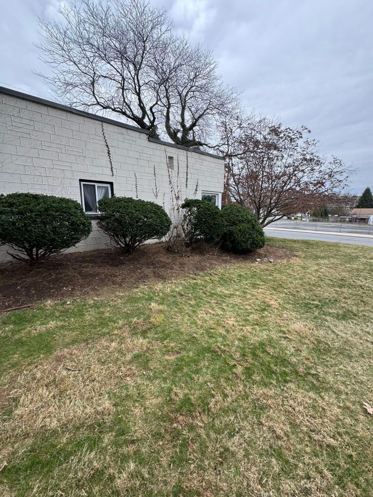 All Photos for Landscape & Lawn Care Pros in Temple, PA
