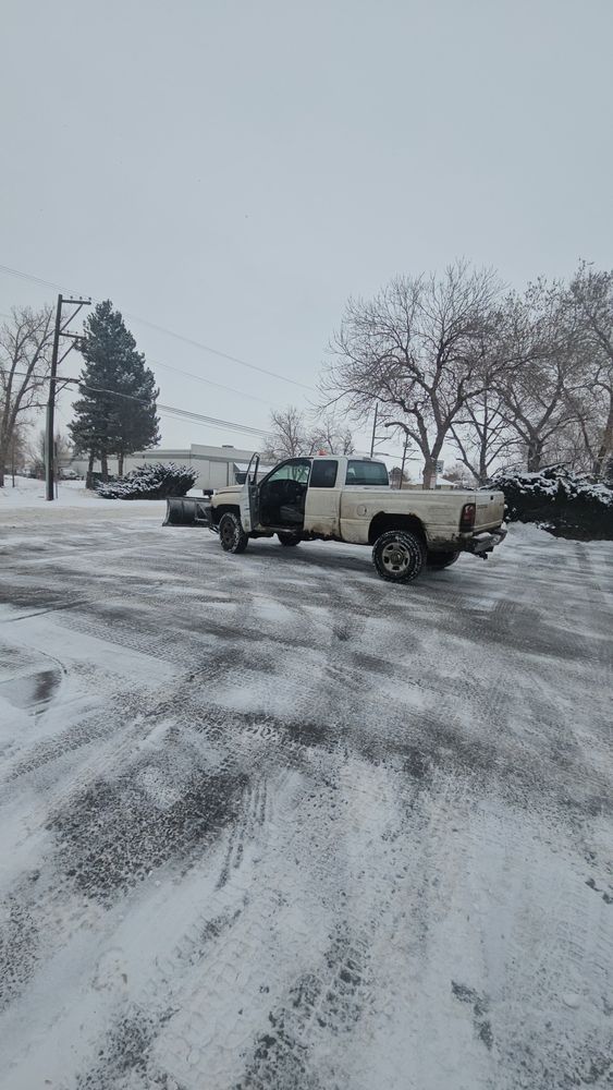 All Photos for NGL Landscape Company in Denver, CO