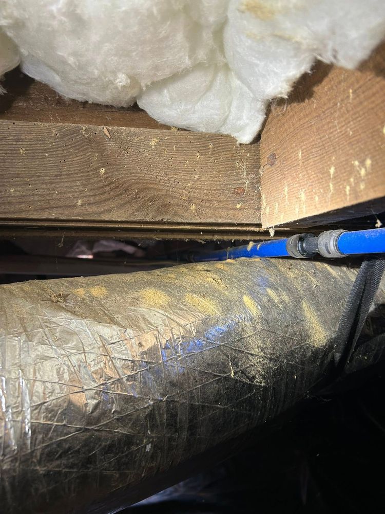 All Photos for Winecoff Pest Control in Salisbury, NC