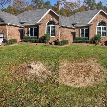 All Photos for Morgan's Stump Removal in Rock HIll, SC