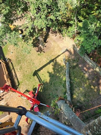 All Photos for Smith Tree Experts in Palmyra, VA